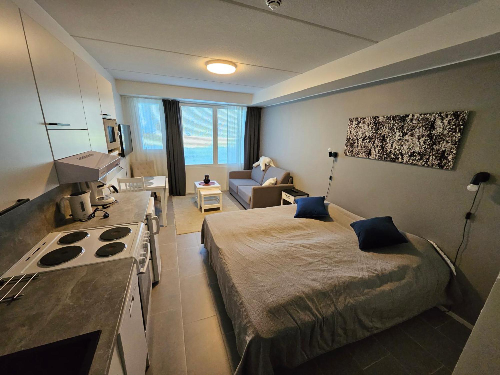 Levillenet Studio Apartment At Levi City Centre Bagian luar foto